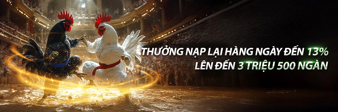 Sân đấu đá gà trực tuyến tại mm9 hiện đang mở