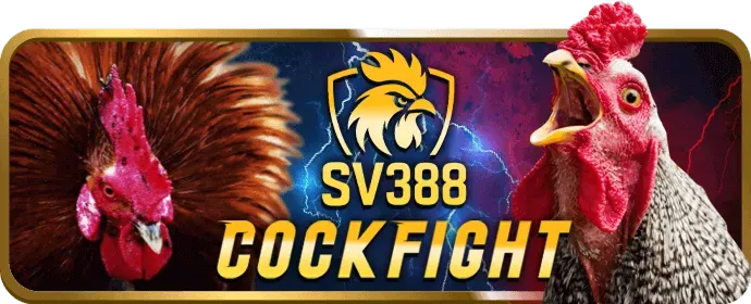 Xác minh và gửi tiền mm9